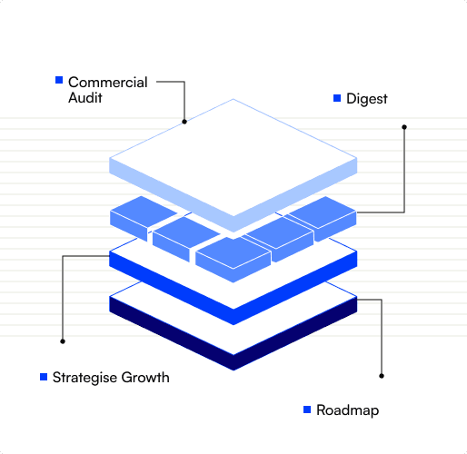 Commercial audit layered into a growth strategy and roadmap