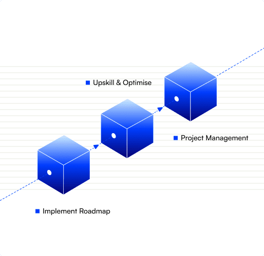 Implementing the roadmap, upskilling and project managing growth